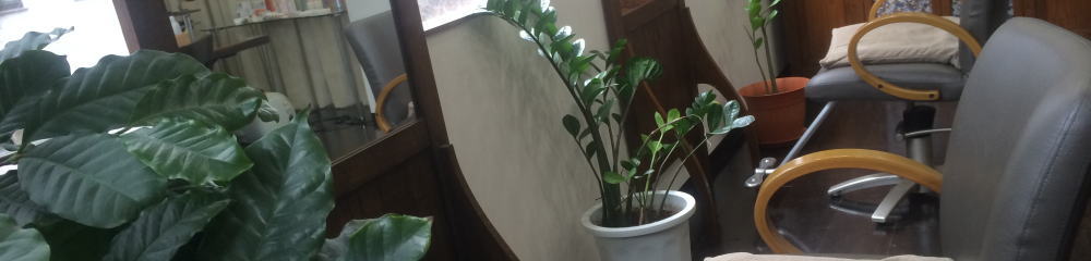 ���{�����X �����\