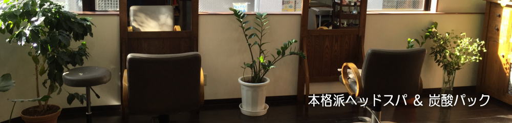 ���{�����X �w�b�h�X�p